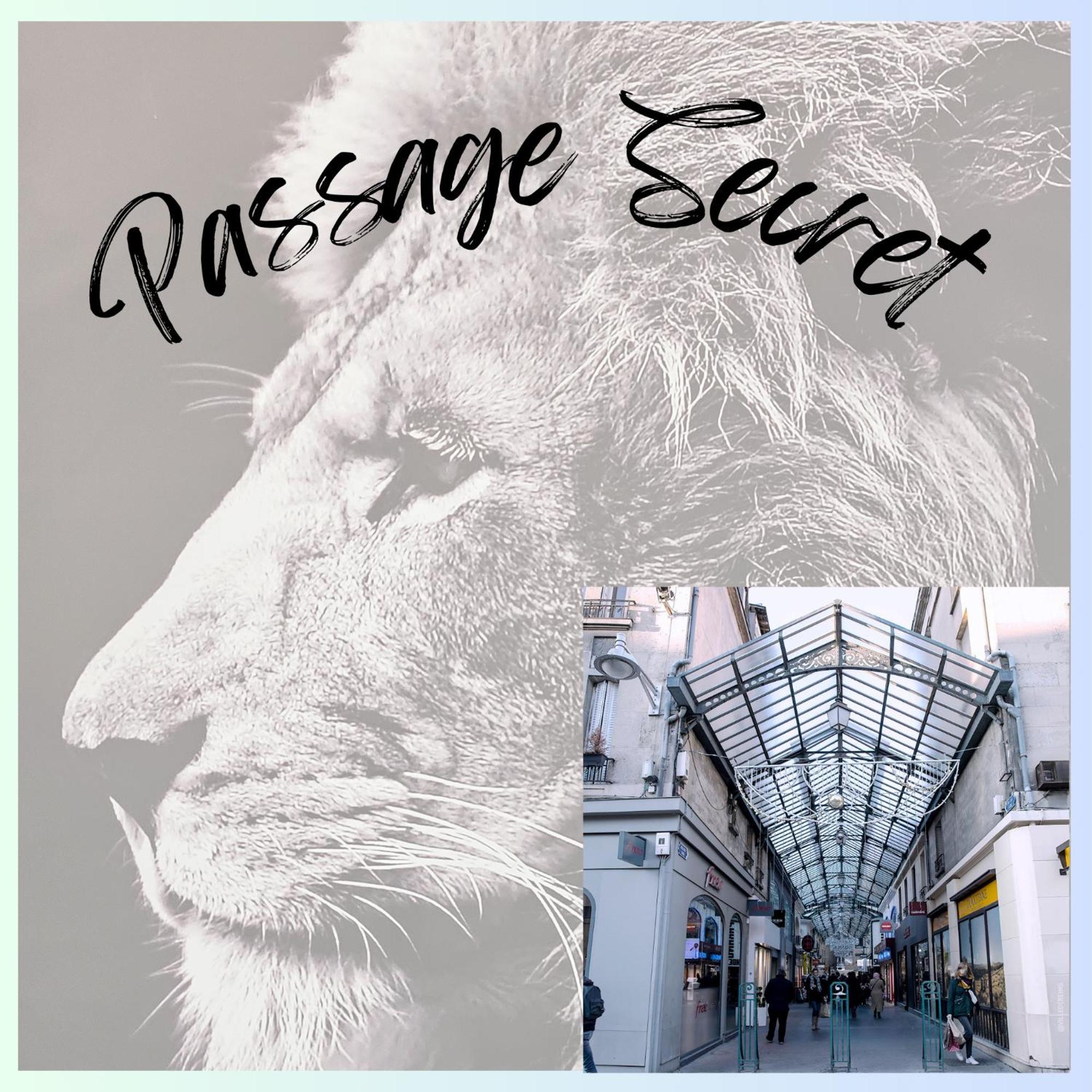 Passage Secret - Ideal Pro, Couples, Familles & Amis - Le Calme En Hypercentre - Wifi Haut Debit - Netflix - Machine A Laver - Gare, Cathedrale, Commerces, Restaurants & Transports En Commun A Moins De 10 Minutes A Pied Reims Kültér fotó